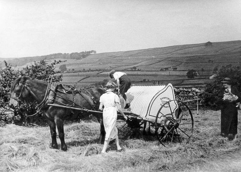 Haytime 2.JPG - Haymaking with a new Bamfords Strawer in the fields below Sour Dale Lane  ( Does anyone know who and when ?) 